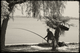 Photography--Black & White-NatureFishing East Lake