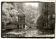 Photography--Black & White-NaturePagoda, Botanical Garden