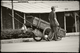 Photography--Black & White-EditorialHandcart Operator