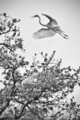 Photography--Black & White-NaturePrehistory Reflected