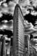 Photography--Black & White-ArchitectureFlat Iron Building