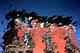 Photography--Color-AbstractVenice Canal Reflection 12