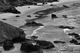 Photography--Black & White-NaturePacific Edge