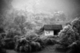 Photography--Black & White-LandscapeShoreline Structures