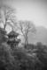 Photography--Black & White-ArchitectureRiverside Pagoda
