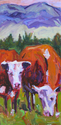Cows