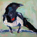 Sweet Magpie