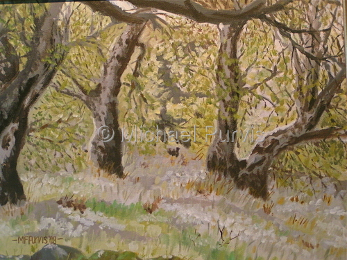 Painting-Landscape-Meadow Oaks