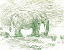 And%20Then%20a%20Baby%20Elephant (thumbnail)