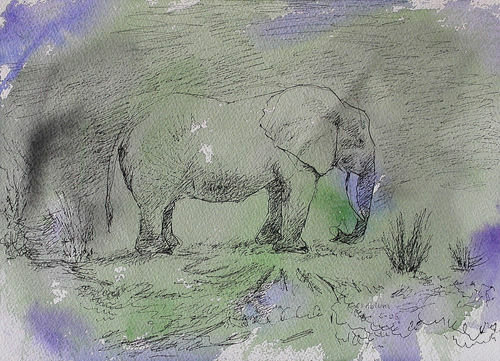 And%20Then%20an%20Elephant%20More (large view)
