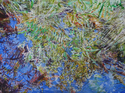 Painting-Reflections Beneath