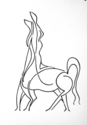 Bareback Rider