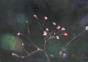 2127 (thumbnail)