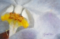 1728 (thumbnail)