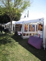 Palm Springs-West Coast Artists