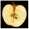 Apple%20Half (thumbnail)
