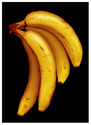 BannaFanna (thumbnail)