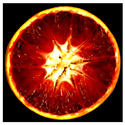 Blood%20Orange (thumbnail)