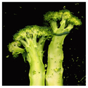 Broccoli%20Twins (thumbnail)