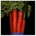 Carrot%20Bunch (thumbnail)