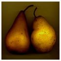 Pair (thumbnail)