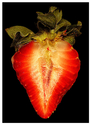The%20Very%20Strawberry (thumbnail)