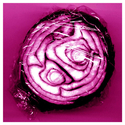Wrapped (thumbnail)