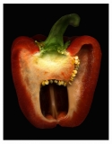 Red%20Pepper.%20The%20Scream (thumbnail)