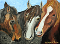 Horse%20Buddies (thumbnail)
