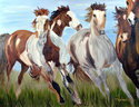 Mustangs%20Into%20the%20Wild (thumbnail)