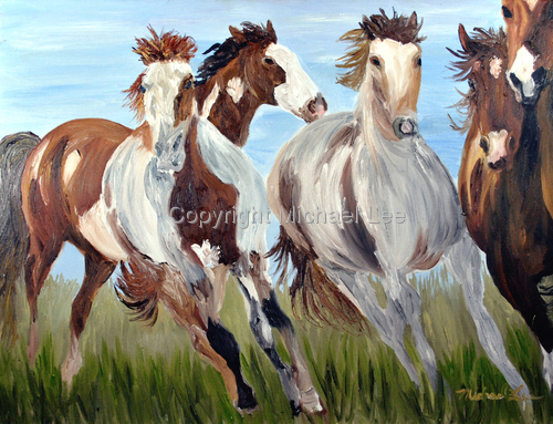 Mustangs%20Into%20the%20Wild (large view)