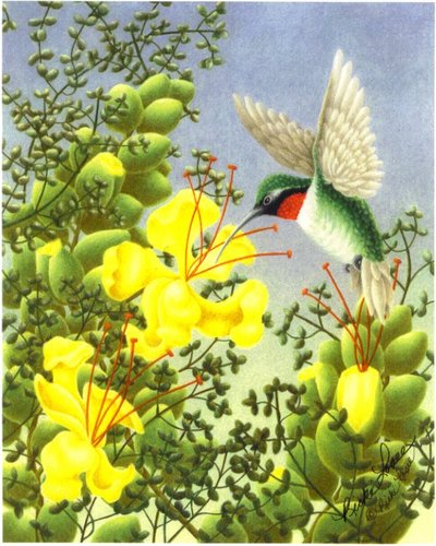 Sedona Birds of Paradise