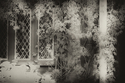 Milicska Jalbert - Dream House