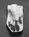Hand%20of%20an%20Artist (thumbnail)
