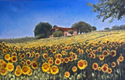 Sunflowers%20in%20Tuscany (thumbnail)