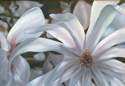 Transparency (thumbnail)