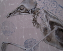 contemporary art, bird skeleton,
acrylic, vanitas -  Painting