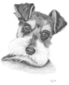 Oliver Oliver (thumbnail)