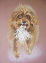 Maggie Maggie (thumbnail)
