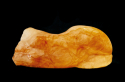 Female%20torso (thumbnail)