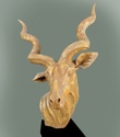 African%20Kudu (thumbnail)