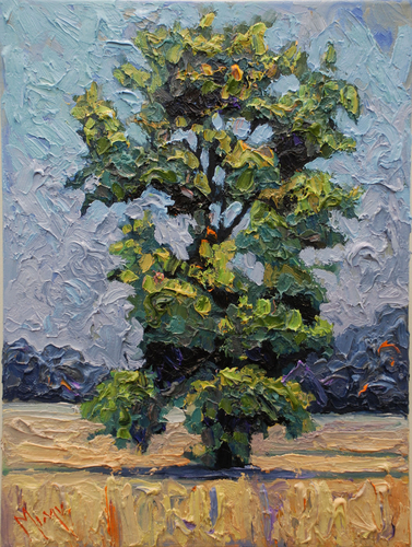 Painting-Landscape-Lone Oak