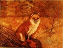 MARY JO  STAHL - The Fox