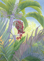 Painting--Watercolor-BotanicalPalm Berries