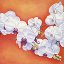 Painting--Oil-BotanicalWhite Orchids