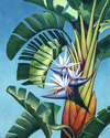 Painting--Oil-BotanicalWhite Birds