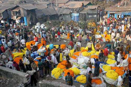 Photography-Photojournalism-Faces of India 2009