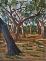 Ancient%20Oaks%20-%20Treetops%20State%20Park%2C%20FL (thumbnail)