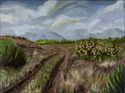 Local%20Color (thumbnail)