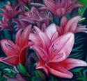 Peace Lilies by the Mailbox Peace%20Lilies%20by%20the%20Mailbox (thumbnail)